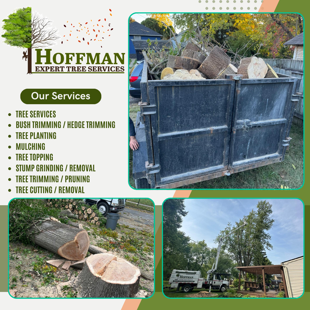 Hoffman Expert Tree Services LLC Image